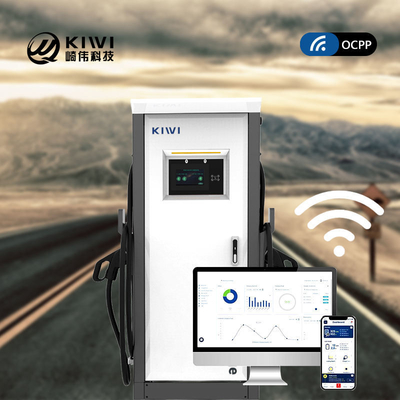 Output Voltage DC 200V-1000V 60KW 120KW CCS2 Chademo Type2 EV DC Charging Pile for EVs