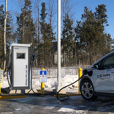 RS485 Connection Temperature Detection 60KW DC EV Charger for BMW iX3 Type 2 Charging Pile